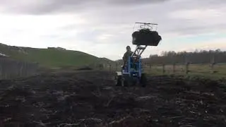 ХОЛМОГОРЕЦ 3 НА ОГОРОДЕ