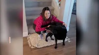 National Hug Your Dog Day 2022 | Single Grain