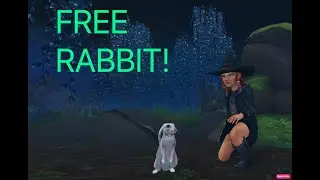 HOW TO GET A FREE HALLOWEEN PET IN STAR STABLE!