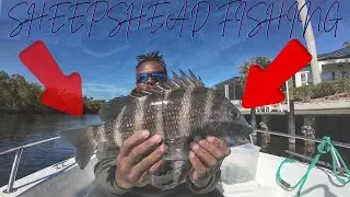 SHEEPSHEAD FISHING ON THE COLDEST DAY IN FLORIDA!