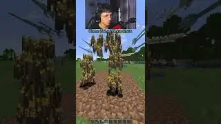 Minecraft Meme