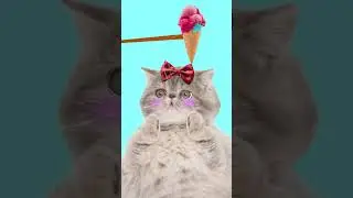 Turkish Ice Cream Tricks #TurkishIceCream #animation #funny /funny cat animation/ #터키아이스크림/고양이 애니메이션