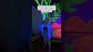 The One Person Who Is Bored At Meow Wolf