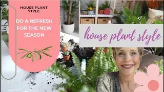 Houseplant Refresh for the Season