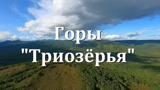 Осенняя грусть по ушедшему лету.
