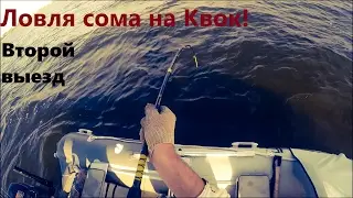 Ловля Сома на Квок! (Часть 2) / Fishing for Catfish
