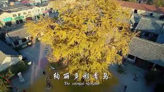 The colorful Qingdao 绚丽多彩青岛