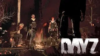 Can A New Player Survive DayZ?