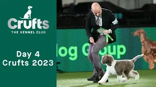 Day 4 of Crufts 2023