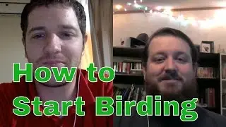 How to Start Birding