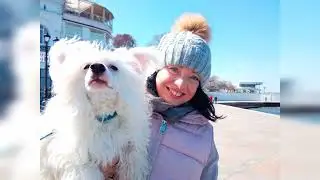 прогулка по Севастополю, март 2022