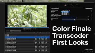 Color Finale Transcoder First Look