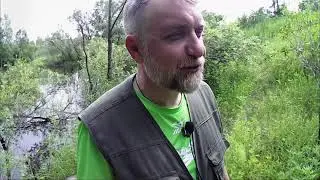 Землянка. Гроза. Атака муравьёв. Тест щепотницы. Быстрый ужин