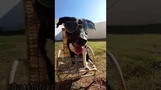 Quando reclamam que sou muito escandaloso