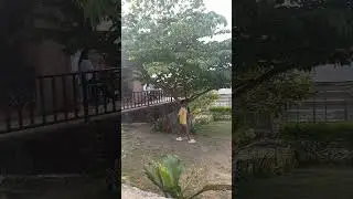 Sunset Cabin Oslob. #shortsvideo #food #cebuprovince #oslob