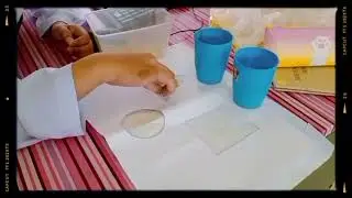 INOVASI SHAPCO