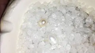 Perles dans mes huîtres Oysters