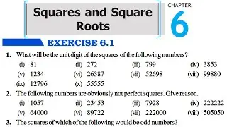 Chapter 6 Square and Square Roots || Full Exercise 6.1 & Basic || Class 8 Maths RBSE CBSE NCERT