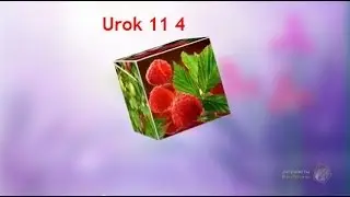 Urok 11 4