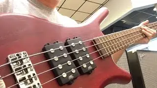 Music Man or Warwick Bass?
