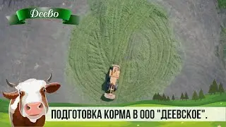 ПОДГОТОВКА КОРМА В ООО "ДЕЕВСКОЕ"