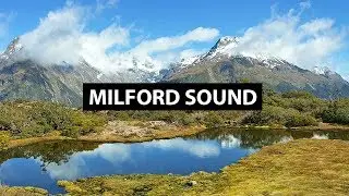 Croisière sur l'un des plus BEAUX FJORDS au monde !