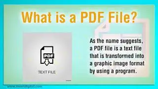 What Does PDF Stand For | PDF Meaning