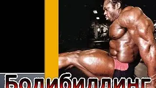 Бодибилдинг American bodybuilders