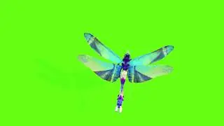 Free Green Screen Dragon Fly Animation  Green Screen Dragon Fly Videos