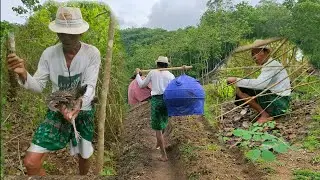 Tak Terduga Pak Tua akan dapat Ayam Hutan Hijau saat mikat