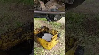 молоко, всему голова, кальций все дела, а в редукторе зубы...