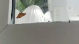 ночь на Кубани, если ты забыл выключить лампочку.