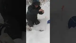 Рыбалка на жерлицы зимой на Сосьве.