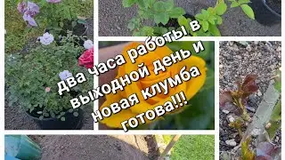 Клумба, на которой будут расти необычные розы, хотите знать, почему они необычные?