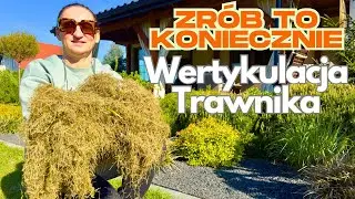 Zrób to koniecznie w Ogrodzie ! Trawnik szybko się zagęści Wertykulacja trawnika