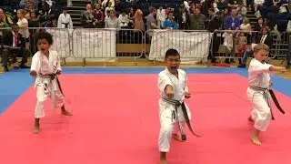 Boys Team Kata World Champions 2017