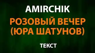 Amirchik - Розовый вечер (Текст Lyrics)
