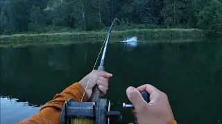 Epic SHORE Fishing for STURGEON! RIVER MONSTER