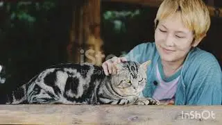 А вы знали что не нравится нашим домашним кошкам?любите кошек???