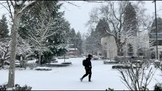 A Snow Walk 2021