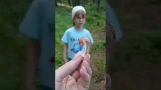 родник #семейныйканална#родник
