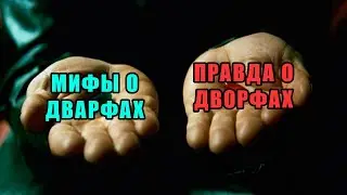 DnD. Все о дворфах, от А до Я