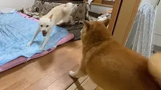 Go to bed!!!