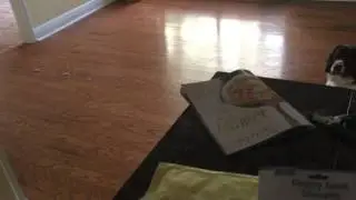 Extended leave it with ham