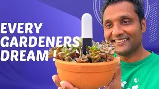 The Ultimate Guide to the Apple HomeKit Flower Care