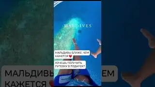 Мальдивы в подарок #мальдивы #shortvideo #море #океан #лето #подарок #maldives #shortsvideo