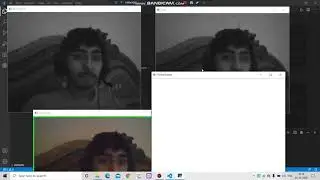 Object Detection and Data Visualization | Python to AI ML and Data Science | Code with Lakshit#97