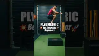 Plyometric Box Jumps For Beginners 