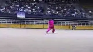 Jian Zeng Jiao 2002 Berkeley Wushu Competition Masters Demo
