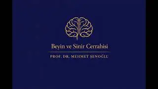 Yüksek Dereceli Glial Tümör: Glioblastoma Güncel Yaklaşım.